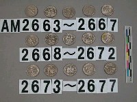 藏品(美國1角硬幣)的圖片